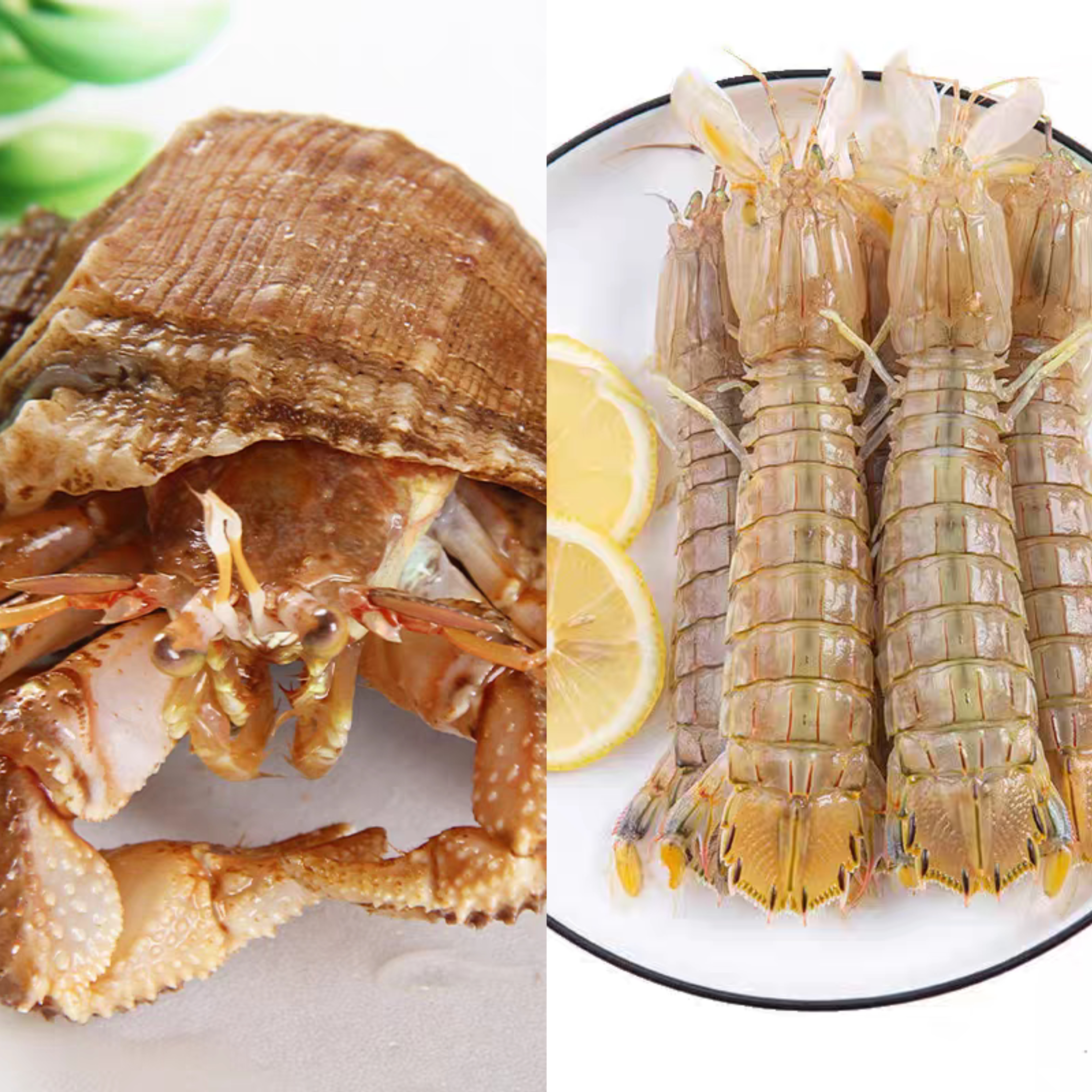 【小时达】皮皮虾1.5＋虾怪1斤