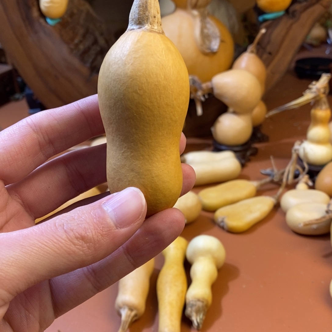 W***m教练教练教练教练经理