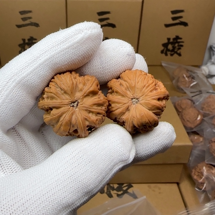 文玩核桃吊坠z*31尺寸玉龙三棱