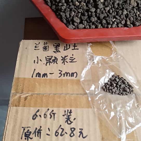 D***芽兰菌黑山土小颗粒6.6斤