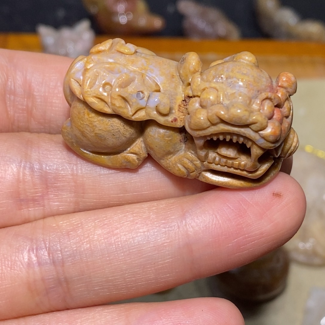 【闪购商品】硅化玉珊瑚玉未镶嵌