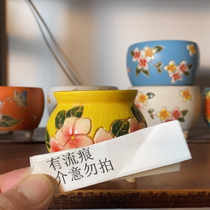 韩式多肉植物花盆