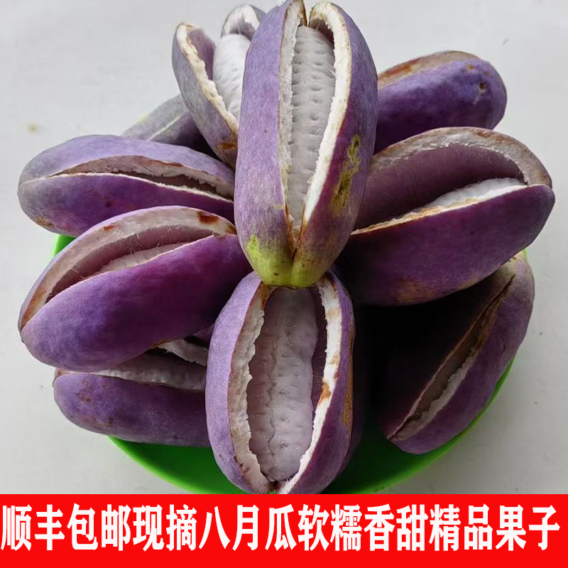 【中通】新鲜现摘云贵高原八月瓜八月炸预知子野生野香蕉甜香水果