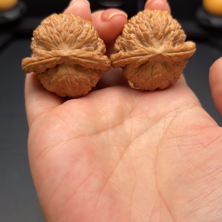 核桃38全品白狮子