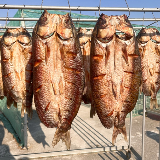 【南县老味道】整条腊草鱼湖南特产腊货干鱼烟熏腊货烟熏腊货腊青鱼