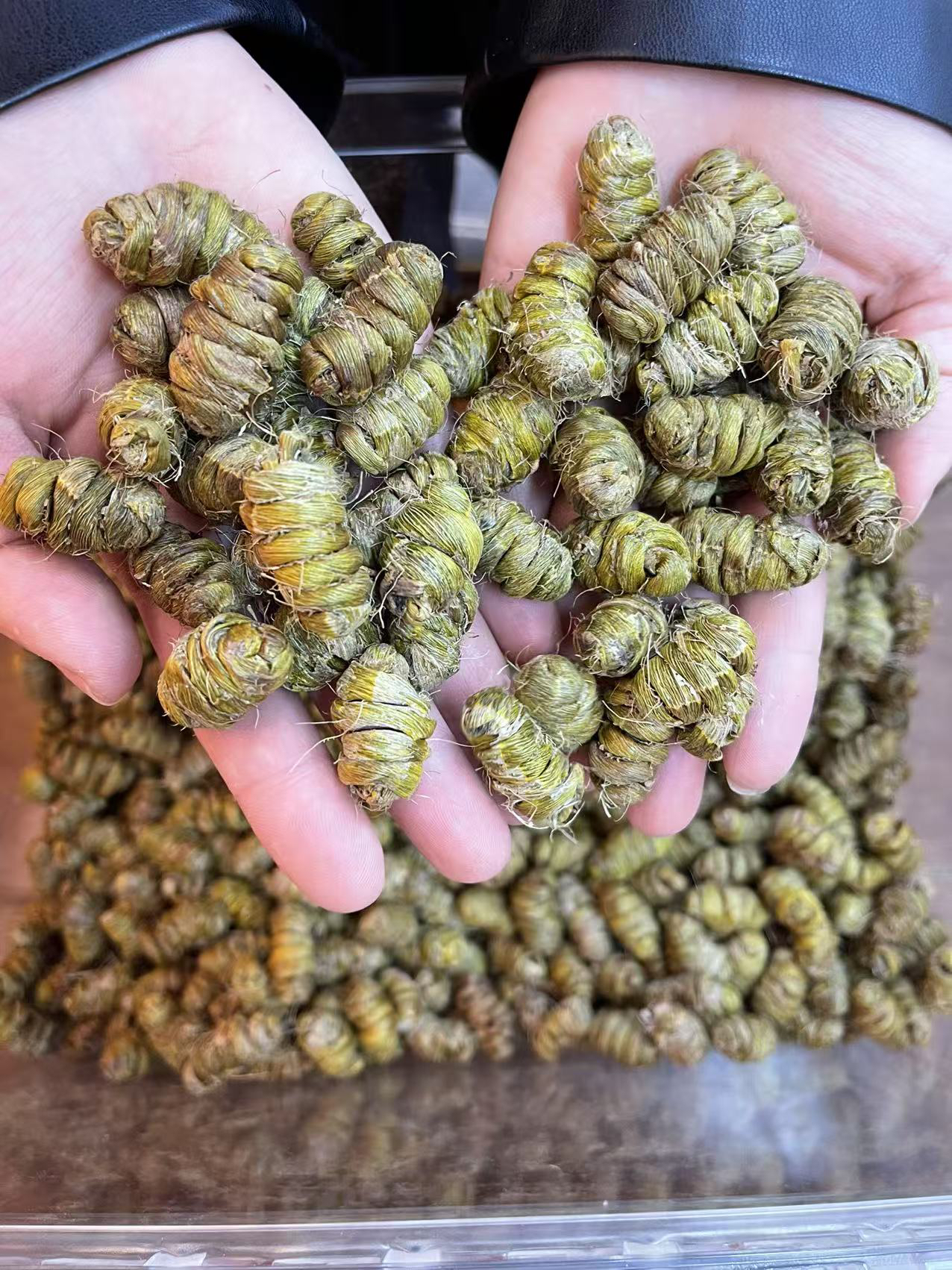 正宗霍山铁皮石斛枫斗石霍金霍斛泡茶煲汤滋补干货中药材送礼