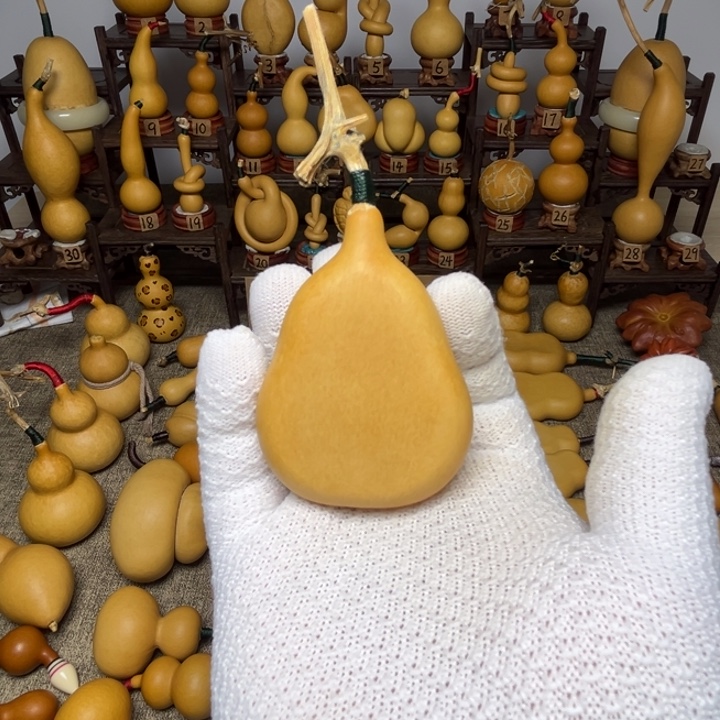 M***g夹扁葫芦，厚皮响籽，