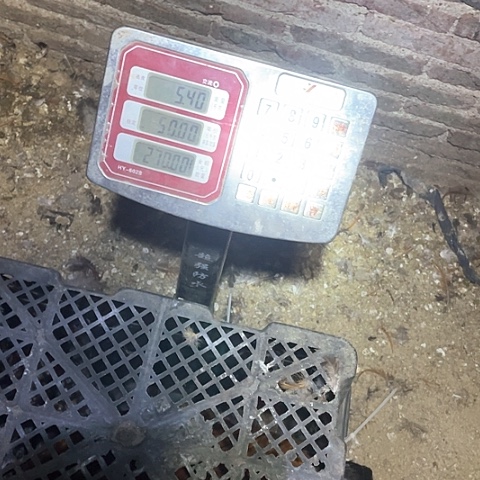 1中国大陆包装5斤2公鸡