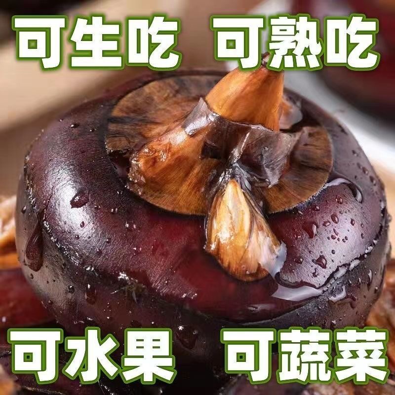 湖北新鲜带泥马蹄果荸荠地雷子红皮脆甜当季水果农家种植现挖包邮