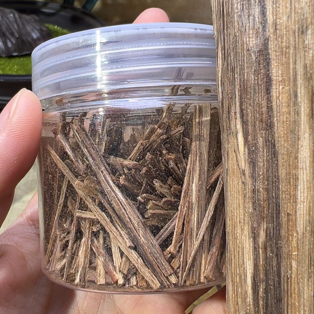 香榧木海南木料大山皮油条10克