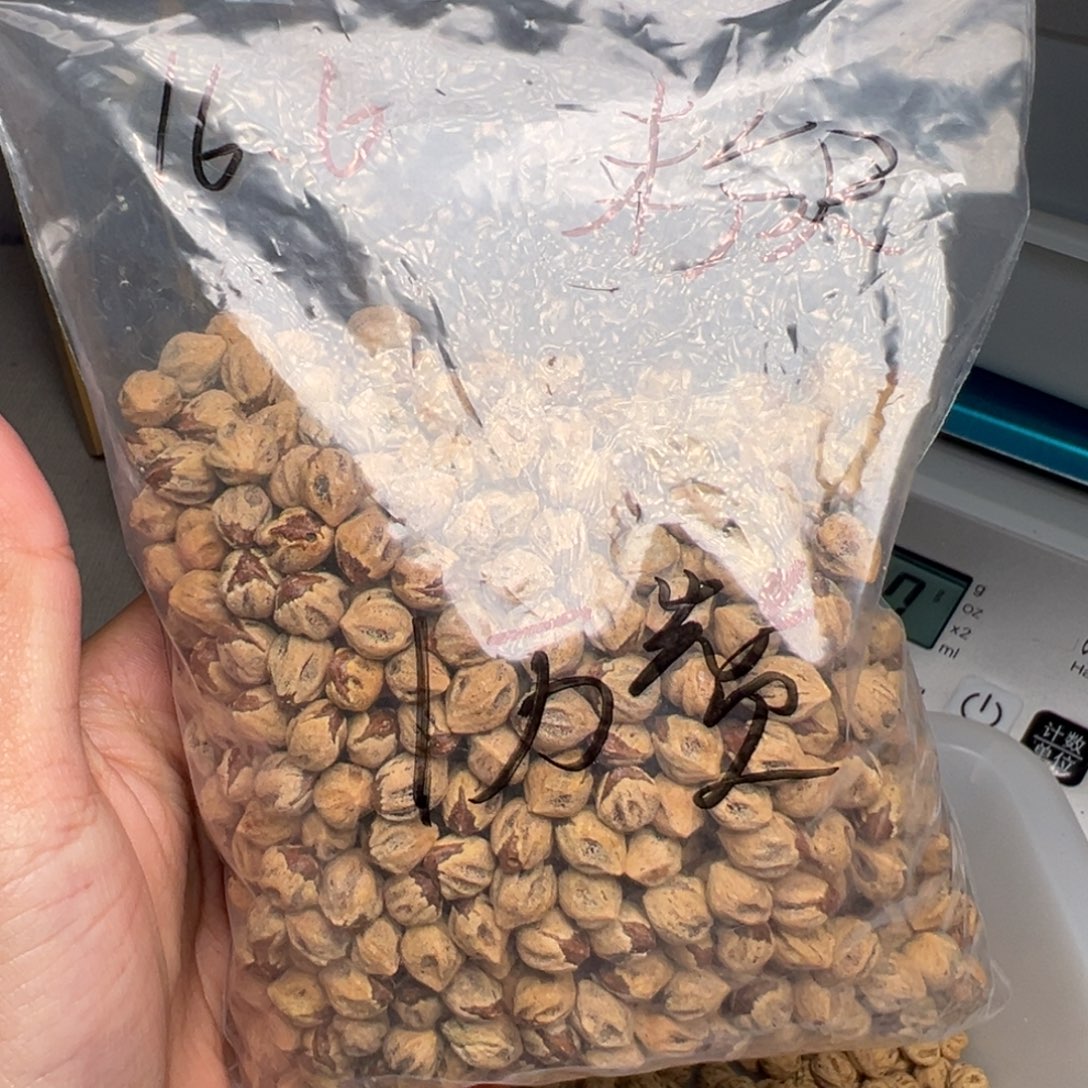 豆***。柏香籽/百香籽吊坠