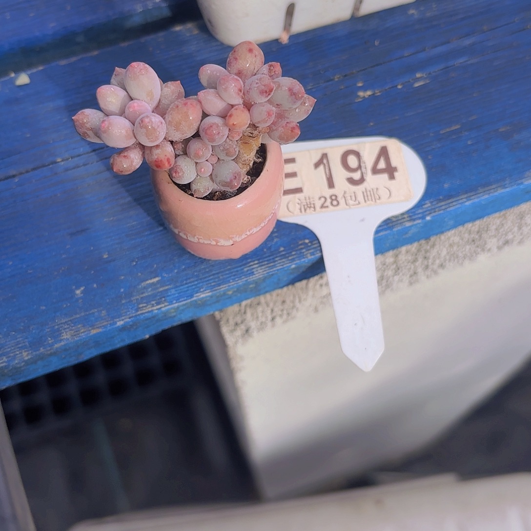 E194手指一物一拍