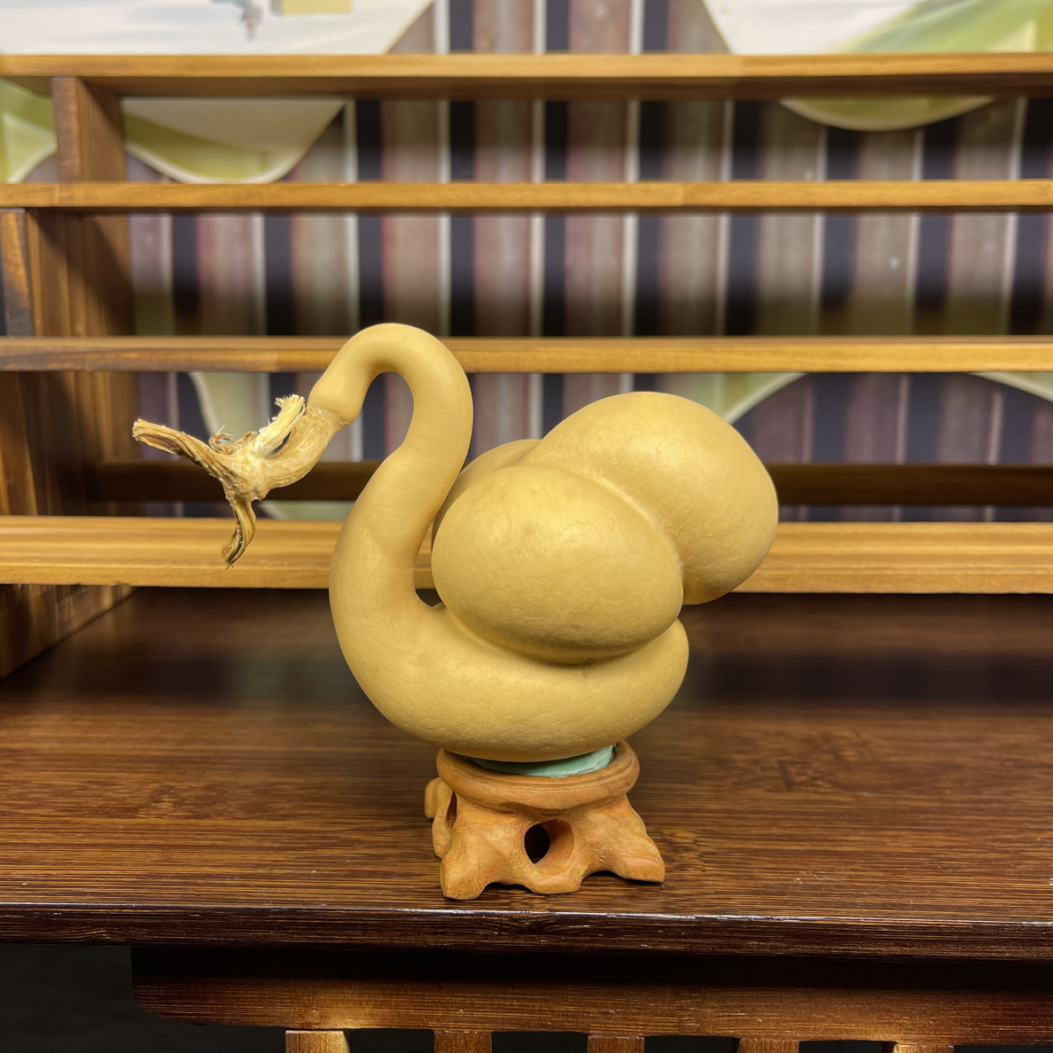 天然勒扎小天鹅葫芦