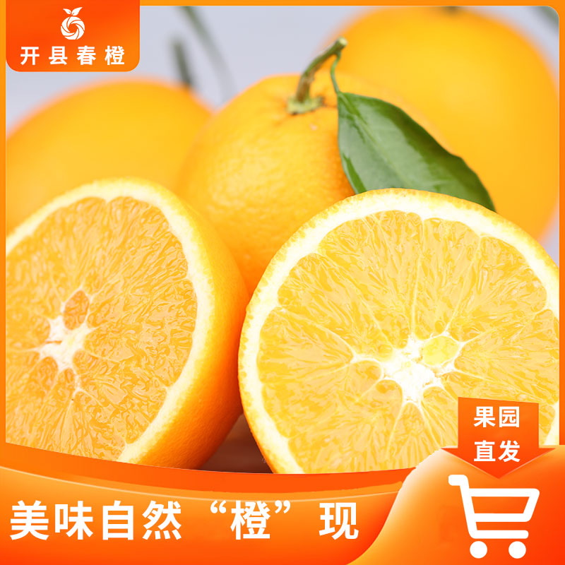 【果园直发】高山脐橙自然种植香甜多汁皮薄果肉饱满橙子不带叶发货