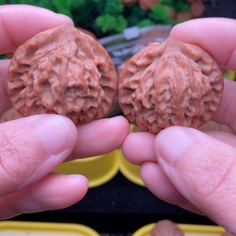 龙门涧41全品111111