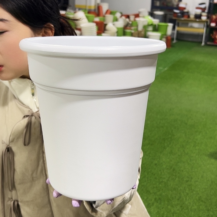 清仓翻边口23高25白色5只无托