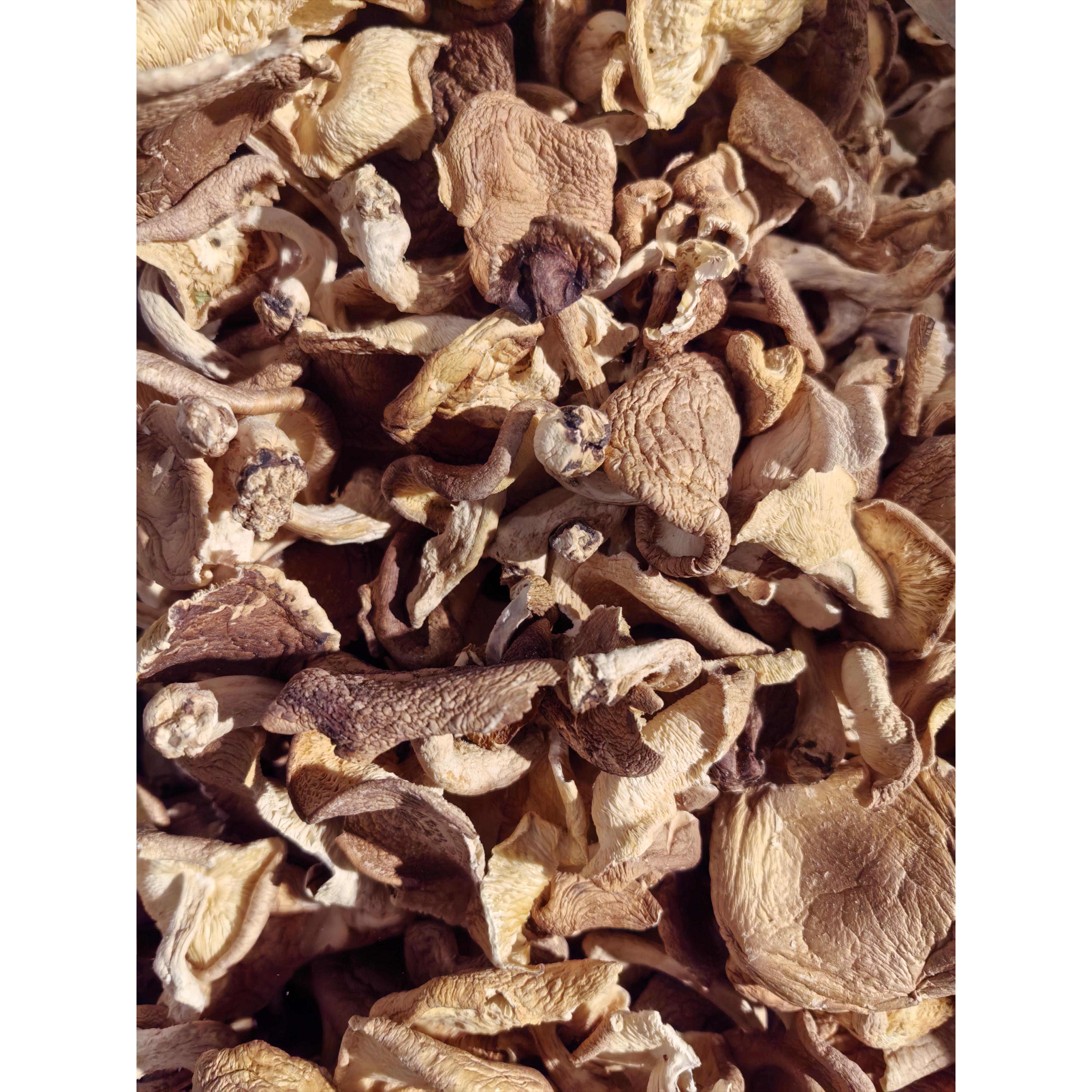 云南高山野生香蕈菇