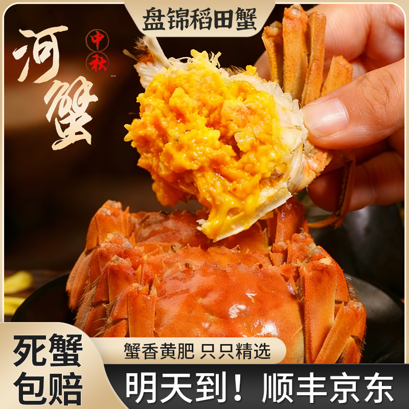 明天到【活纯母蟹】1.0-1.3两/只盘锦河蟹顺丰京东发货12只送12只共发24只童小二LM2