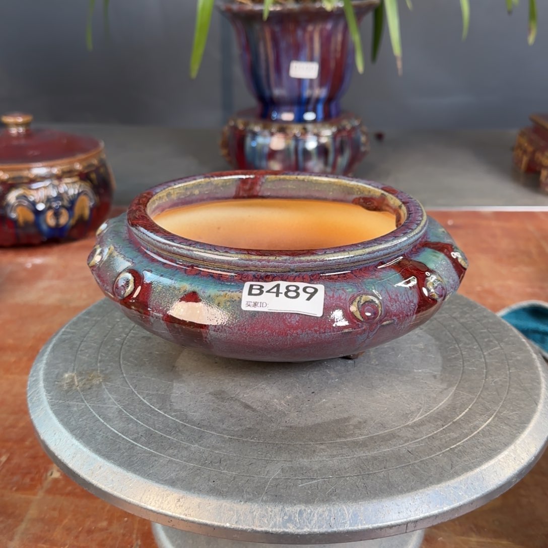 段泥花盆雨**情489