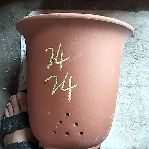 红泥特大金钟一个花泥