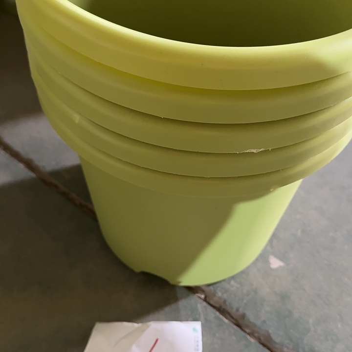 编号2216果绿无托5个