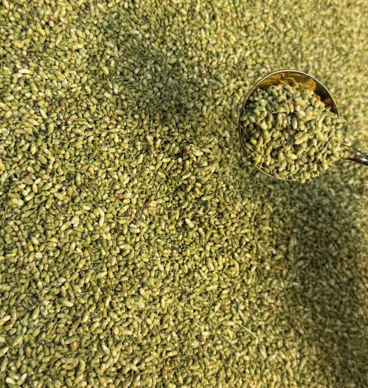 【小强陈皮】云南产区 珠子参蕊 益身百搭茶  250g 拍一发四