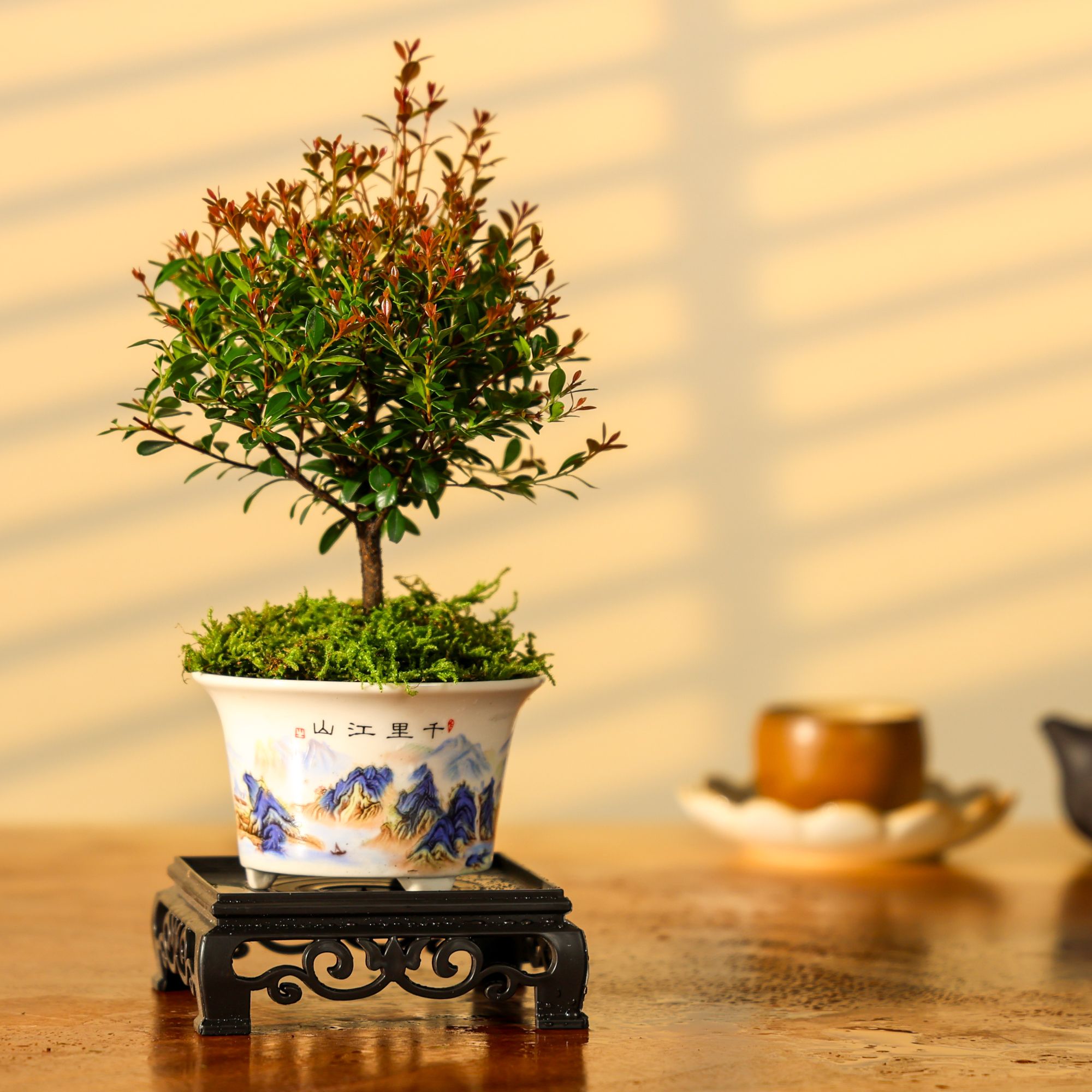 小叶红芽赤楠盆景[千里江山]青绿山水手绘盆器桌面茶台好养