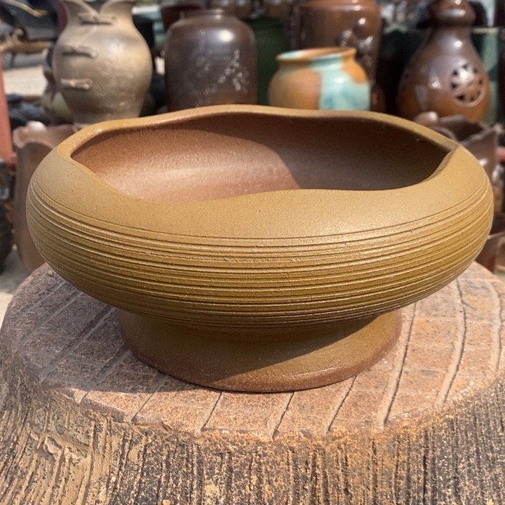 红陶高11/20微瑕开播福利