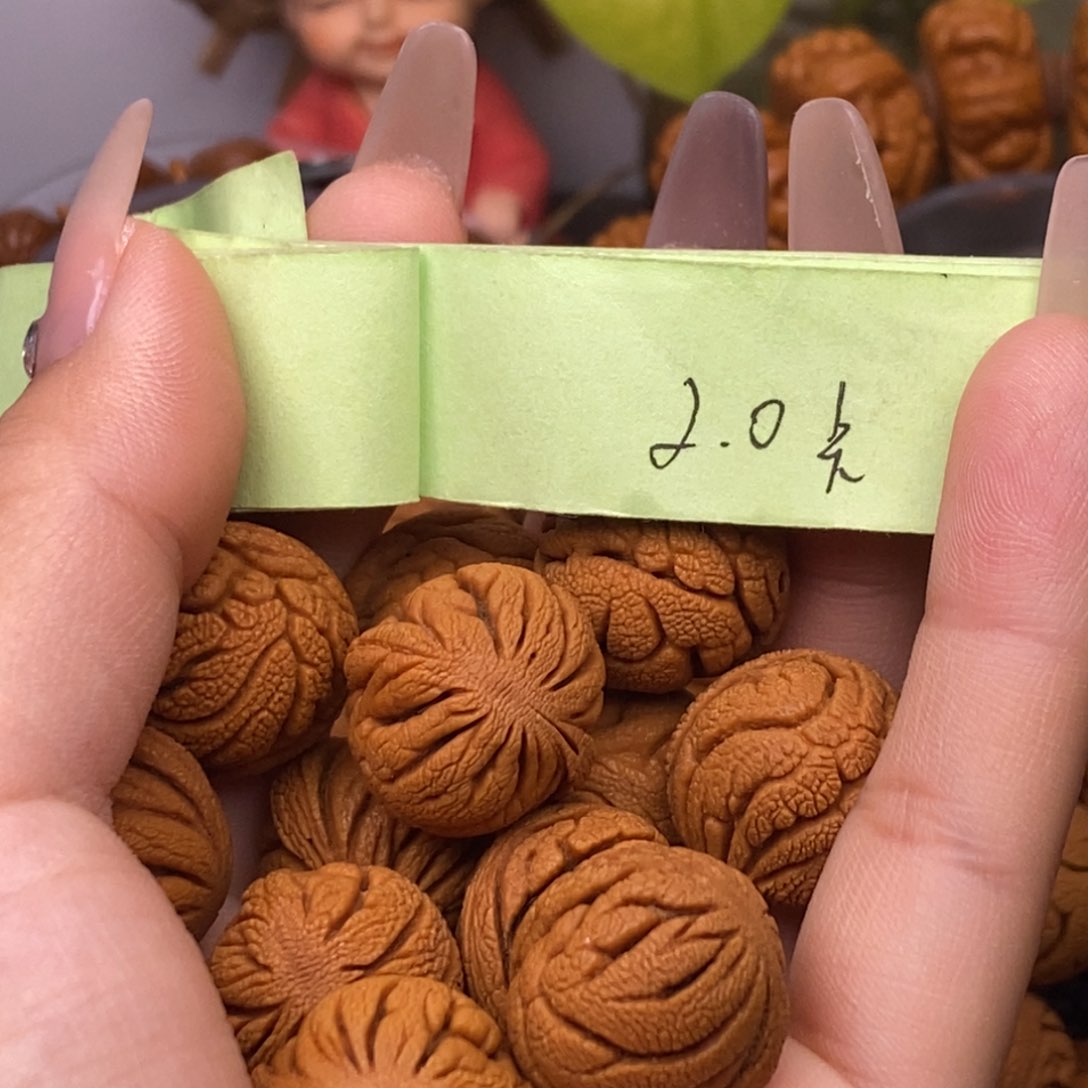 秦岭山脉龙纹桃核 13