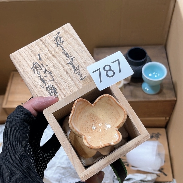 茶宠我们都是好孩子呀打脸好