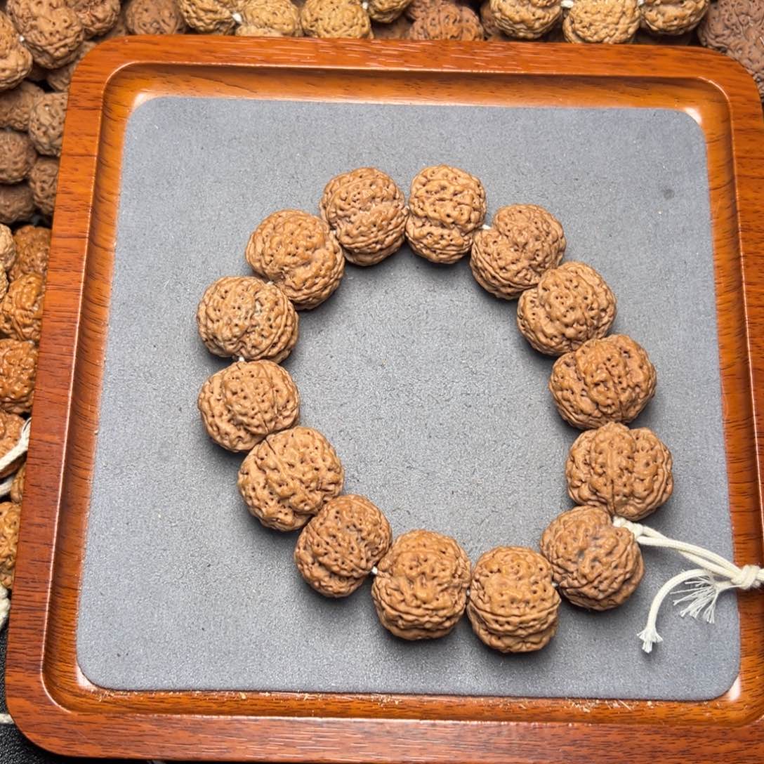 11号尼泊尔大金刚24粗筋梅花双龙