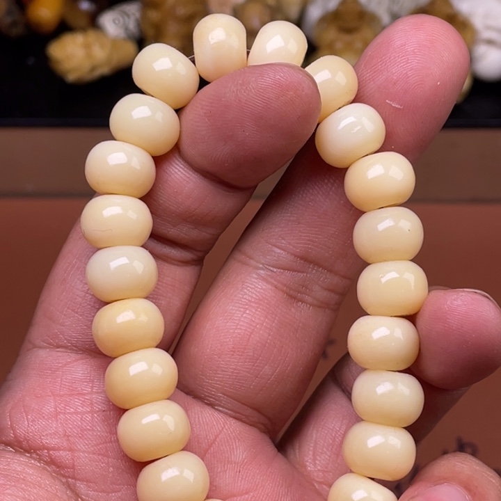 驼骨摆件人工养殖