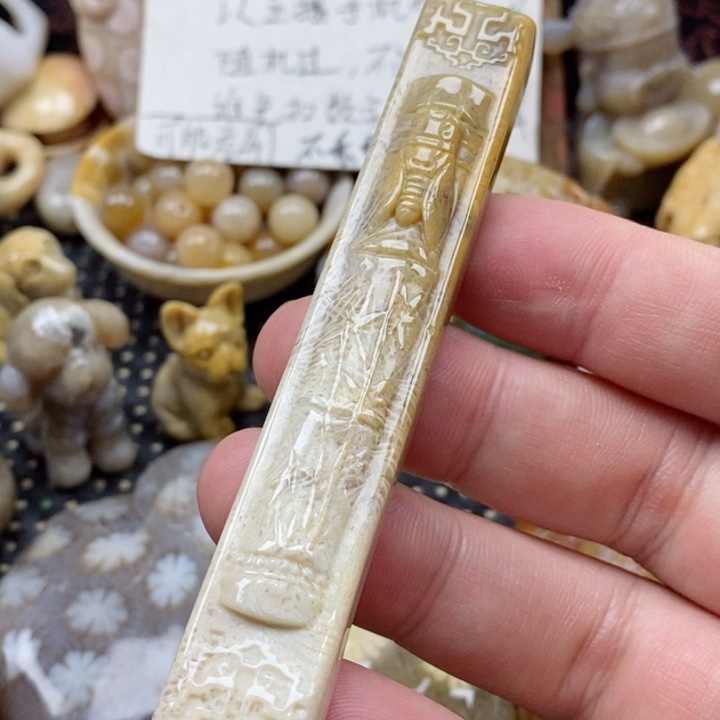 硅化珊瑚（珊瑚玉）颈饰未镶嵌