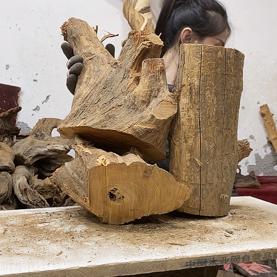 午***哥柏木我们都是好孩子