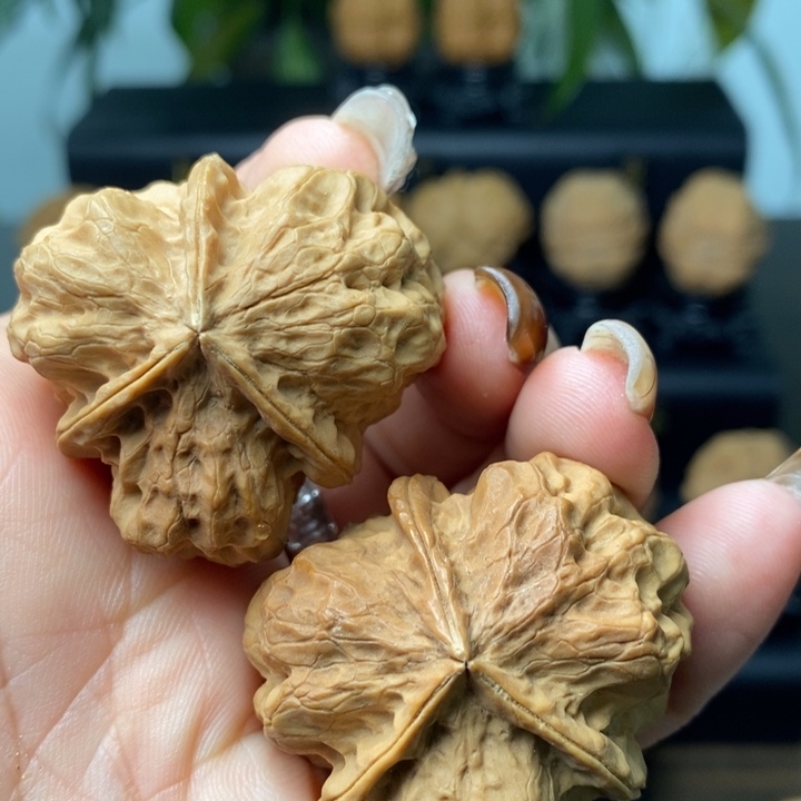 文玩核桃吊坠金尊龙脊