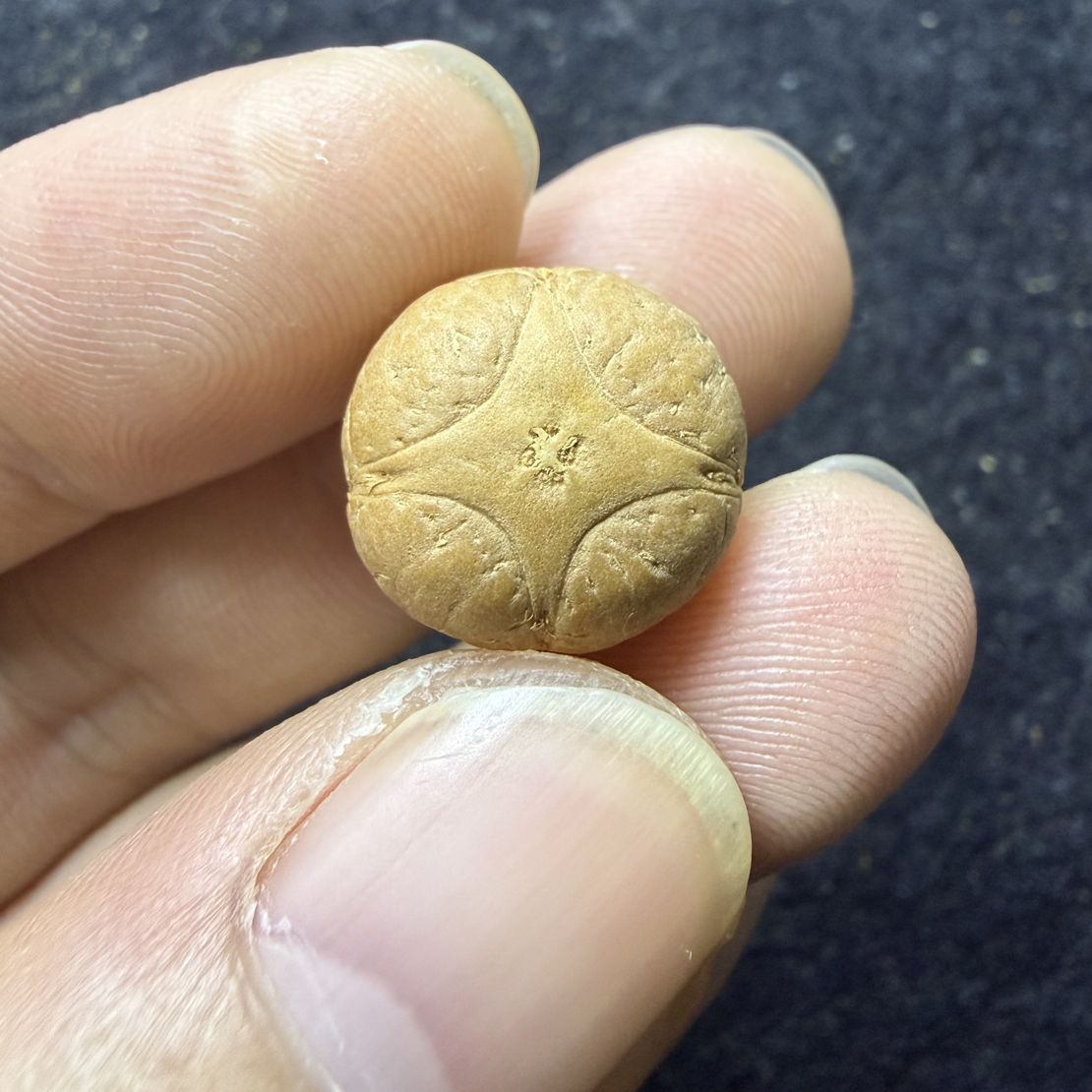 精品头货15+mm凤眼菩提麒麟眼，厚11.9mm，非质量问题开孔不退换。