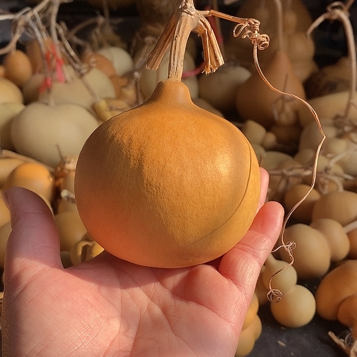 葫芦的颜色很好看