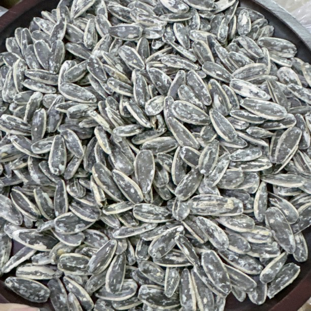 年货炒货大颗海盐瓜子