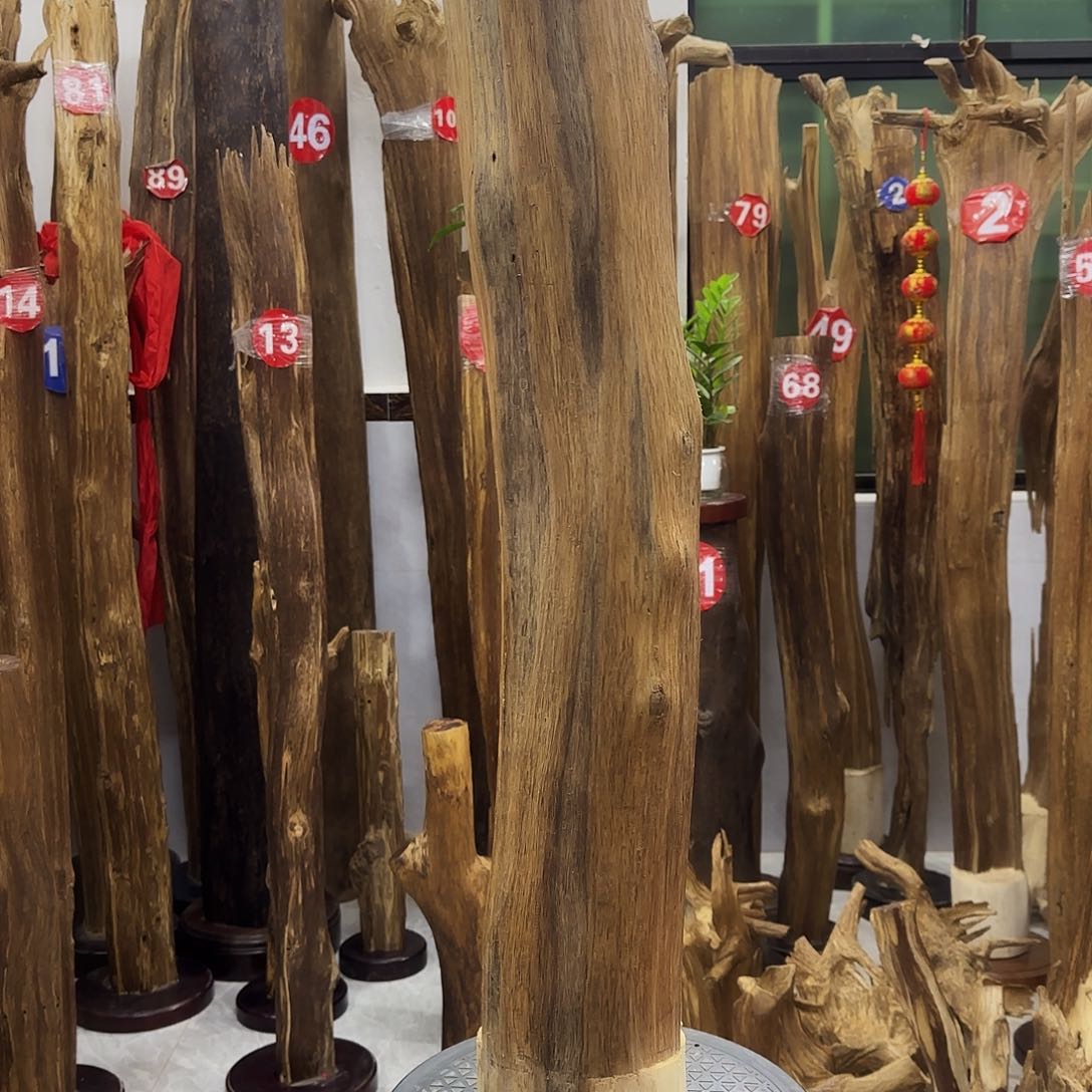 沉香摆件贝*沉香摆件