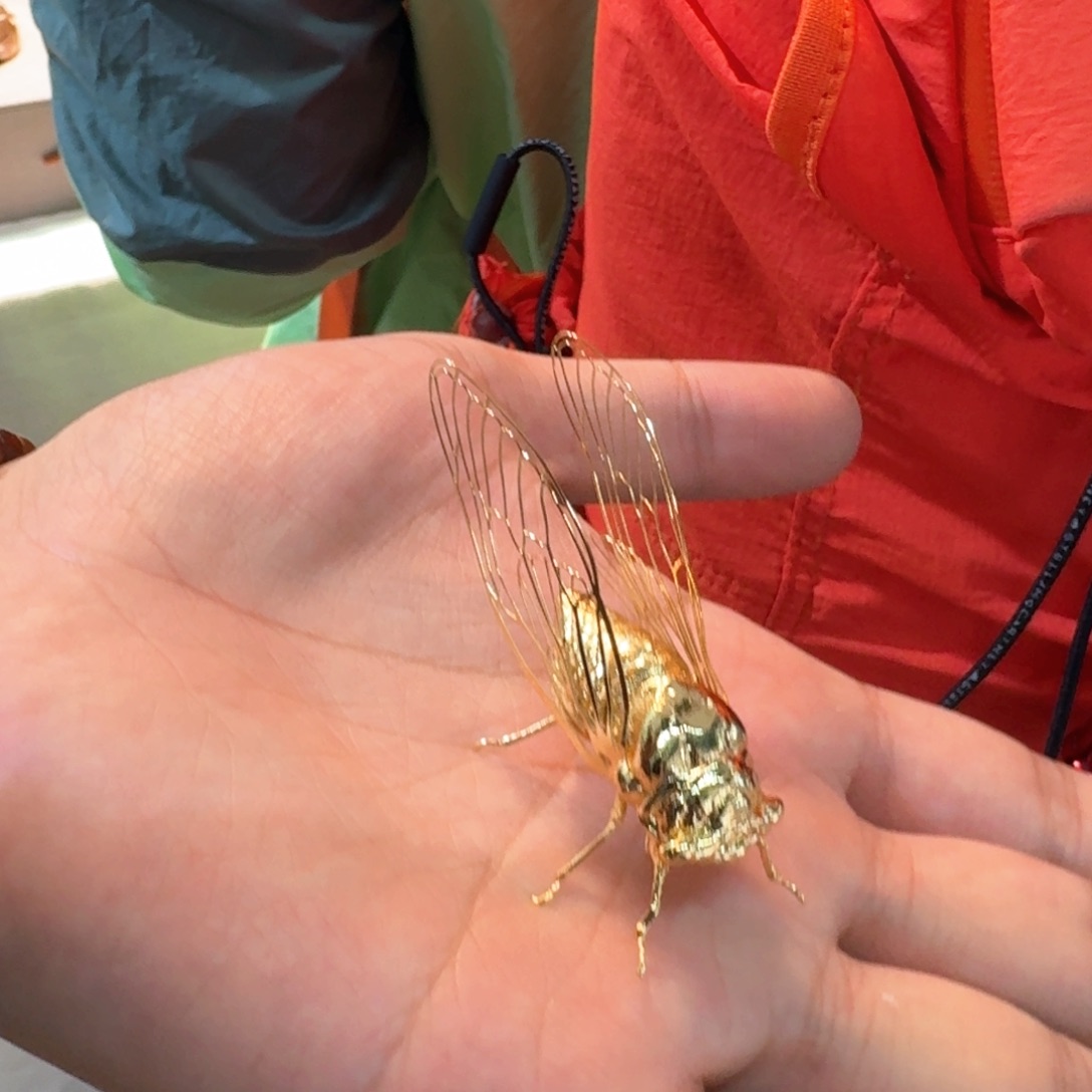 瓷片周边茶周边茶周边茶周边