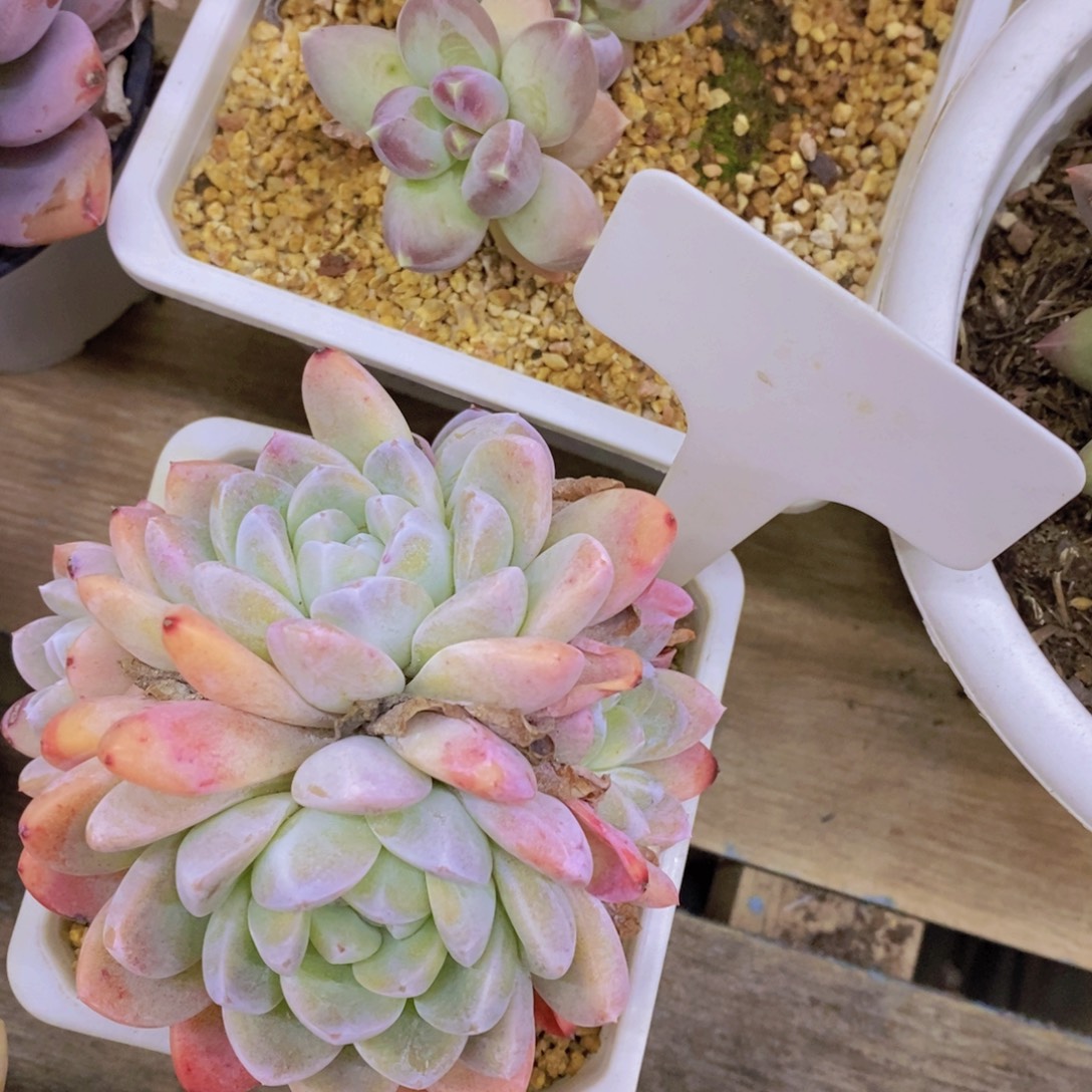 清货专场，满5宋1了