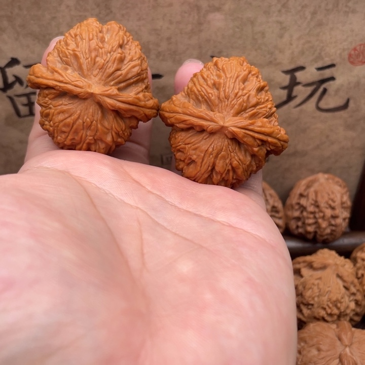 文玩核桃把件43白狮子微修打底