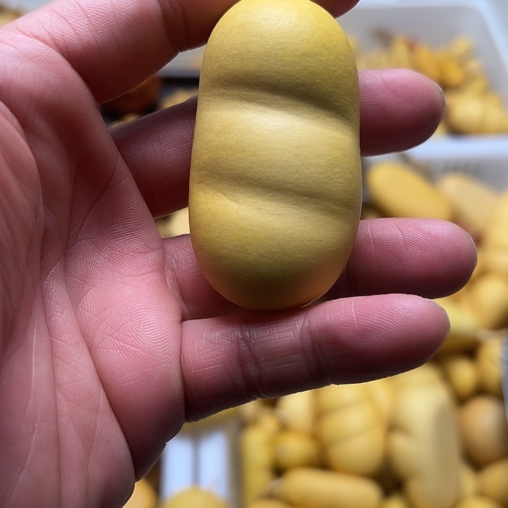 缠***队葫芦葫芦葫芦葫芦