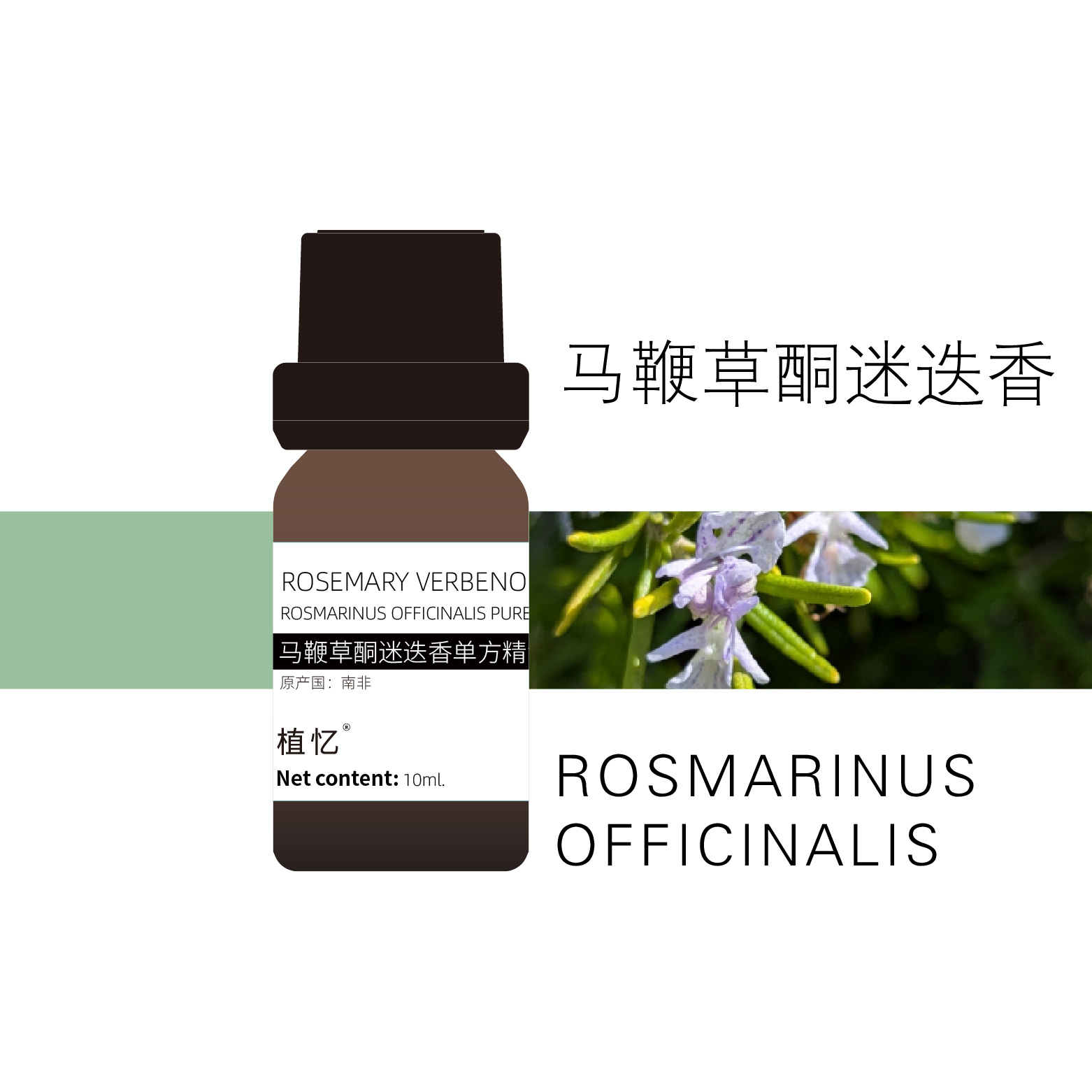 植忆马鞭草酮迷迭香精油（可搭配黑种草籽油）  南非 植物单方精油