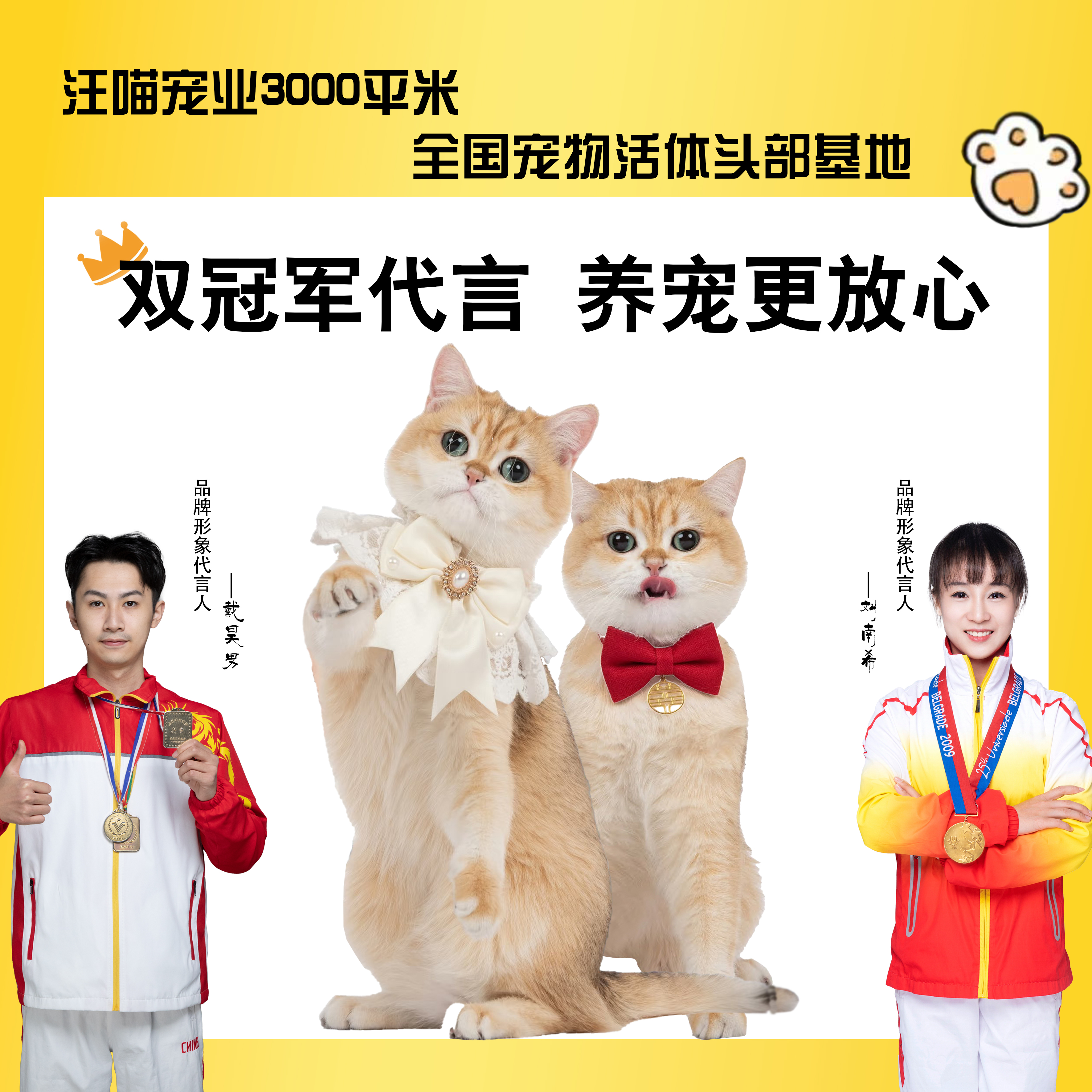 【小可爱清笼】可爱小猫清笼链接S