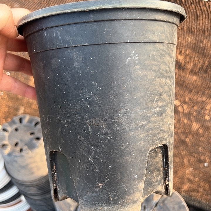 塑料口径15.5高度17加仑一组15个