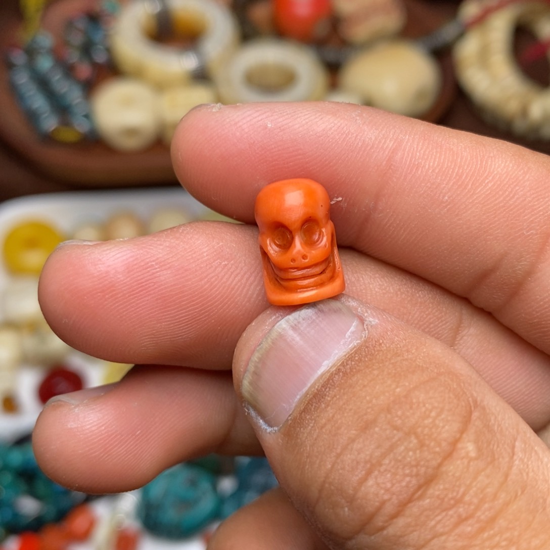 贝壳手串/手链尸陀林