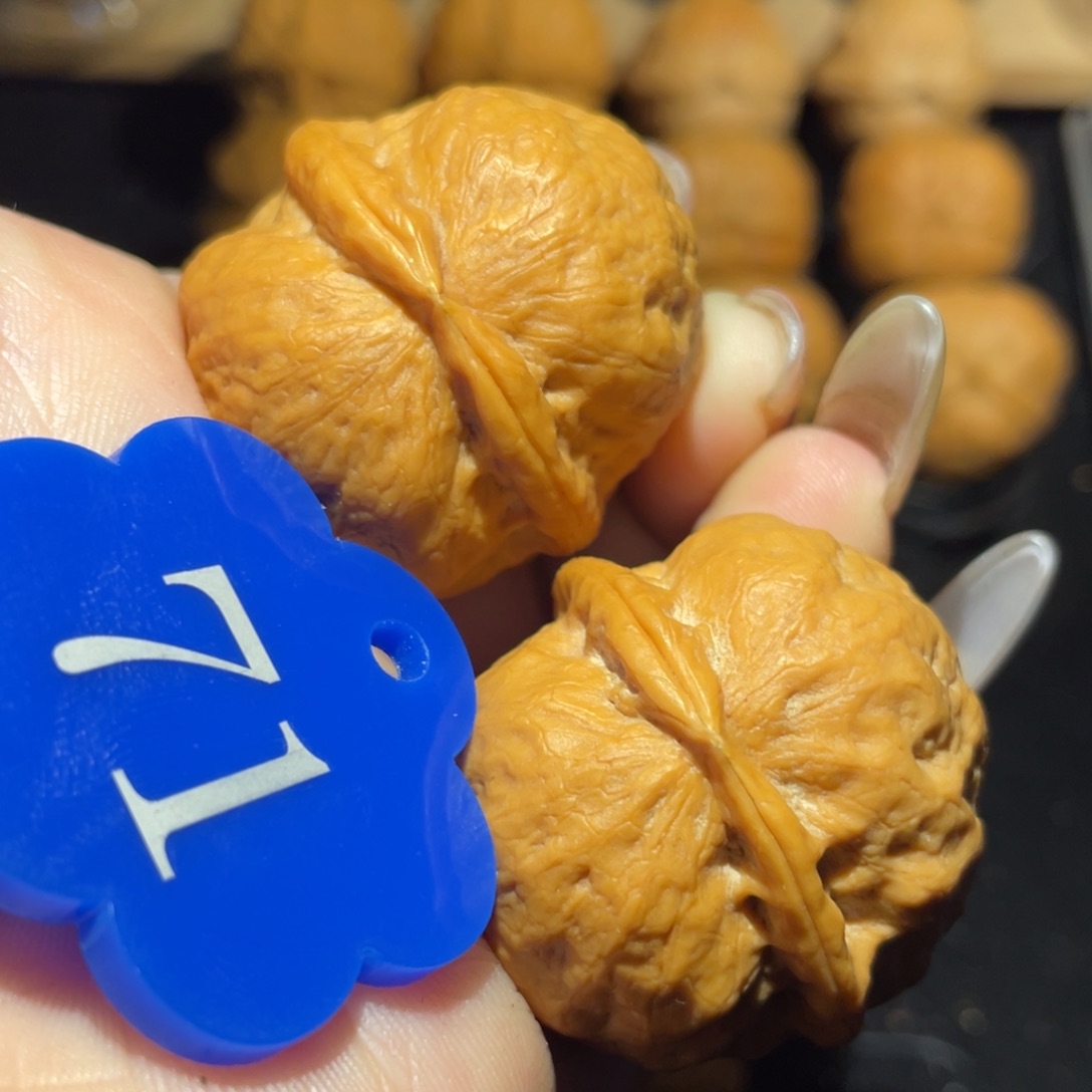 冰蟾37尺寸核桃。 （溜肩