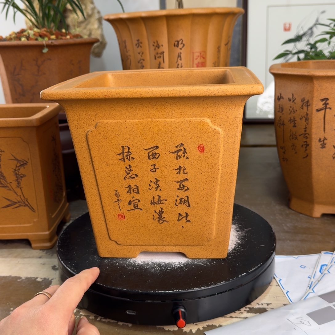 干***树紫砂花盆紫砂花盆