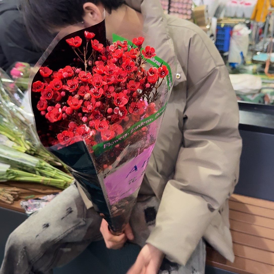红色腊梅年宵花1扎